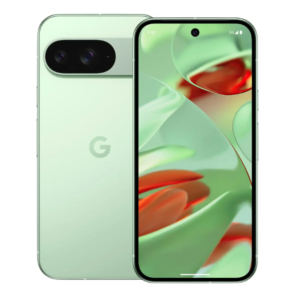 Google Pixel 9 Wintergreen 256GB (Unlocked)