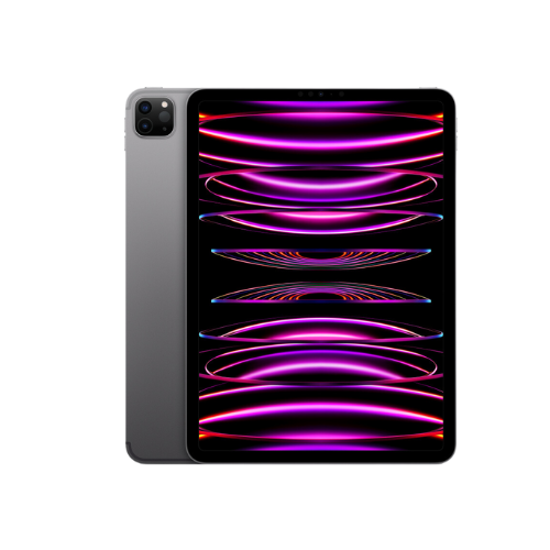 iPad Pro 2022 (11") Space Gray 128GB (Cellular + Wifi)