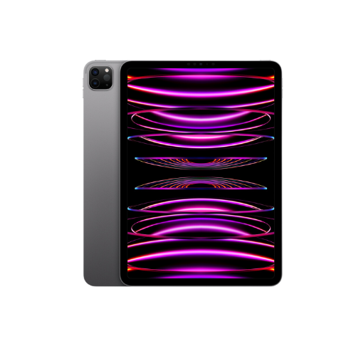 iPad Pro 2022 (11") Space Gray 256GB (Wifi)